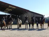 Etrier de Fontenilles