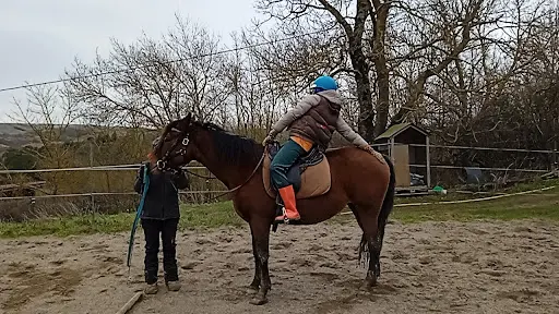 Chevaux au Vent
