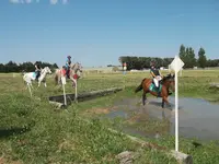 Les Enganes