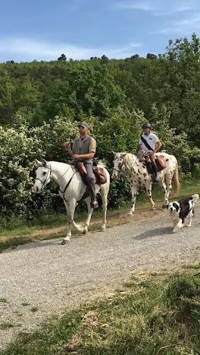 Janssaud Centre Equestre