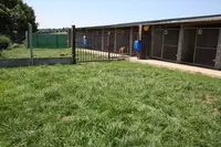 Cepj - Centre Toilettage & Pension Chien Josselin