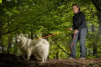 Comportementaliste Canin - Karine Faucher