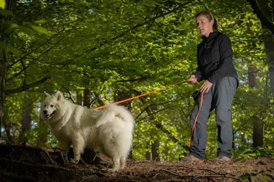 Comportementaliste Canin - Karine Faucher