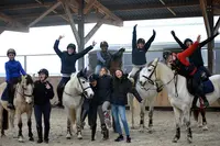 Haras des Myosotis - Pension Chevaux