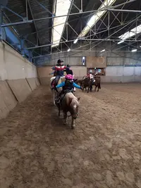 Centre Equestre de Montaubert - Écurie Bourdon