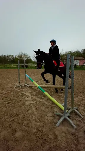 Haras du Cerisier