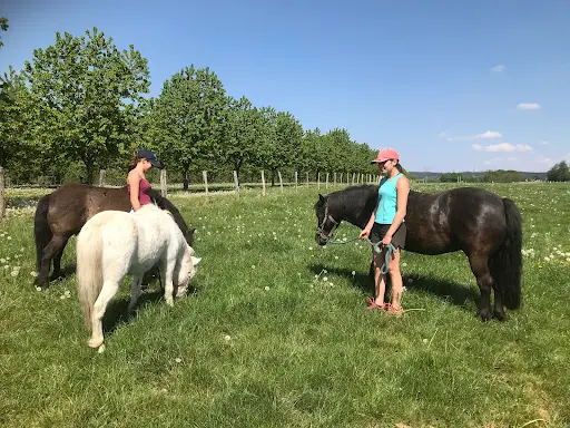 Le Sarcenot À Poney