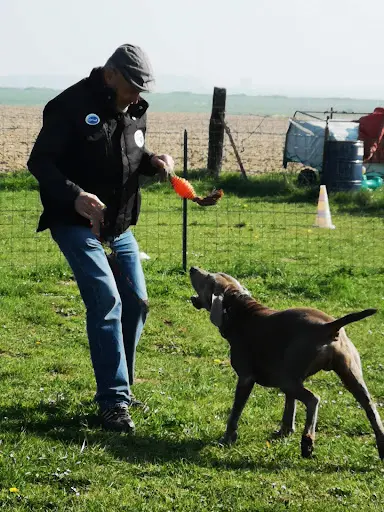 Pat & Ben Éducateurs Canins