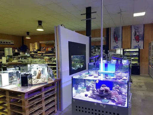 Fish House
