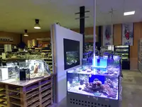 Fish House