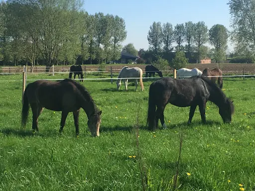 Ecurie des Weppes