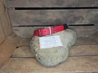 Provence Animo