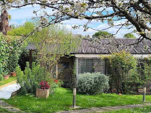 Pension Entre Chats Toulouse/saint Orens