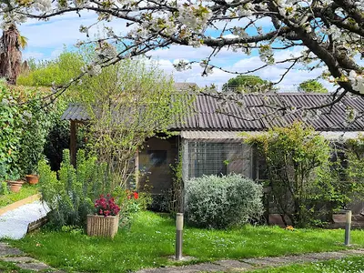 Pension Entre Chats Toulouse/saint Orens