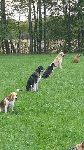 Éducation Canine Foussemagne