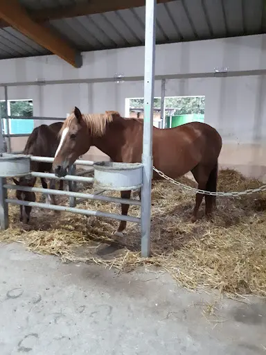 Centre Équestre & Poney Club de Franconville