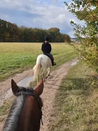 Ecuries la Clé des Champs