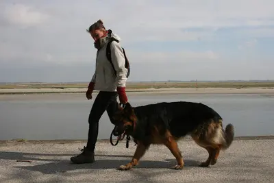 Laure Speranza Ecoute Ton Chien 21-39