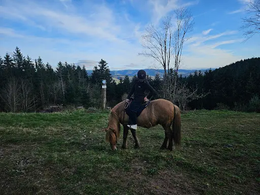 Tölt In Vosges & Alsace