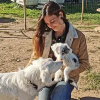 Cani Compréhension