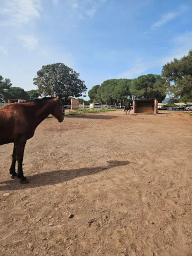 Haras de l'Espinette