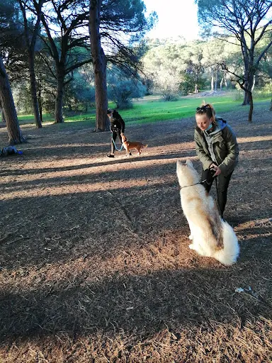 Julie Arestan-educateur Comportementaliste Canin