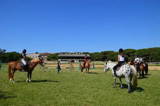 Les Poneys de Sophie