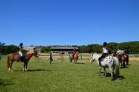 Les Poneys de Sophie