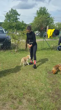 Club Canin de Freneuse