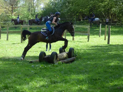 Association du Ranch de la Vallée du Puits