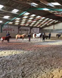 Ecuries Art Questro - Centre Équestre et Poney Club À Fromelles