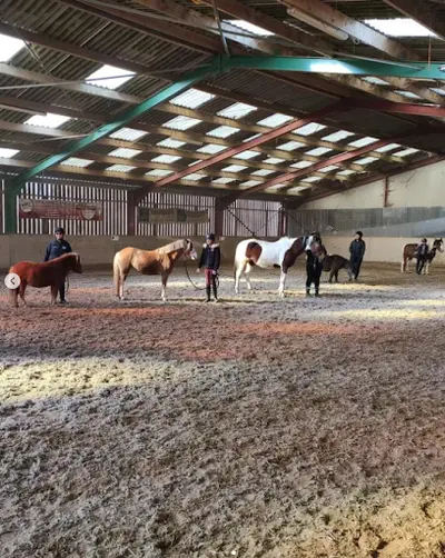 Ecuries Art Questro - Centre Équestre et Poney Club À Fromelles