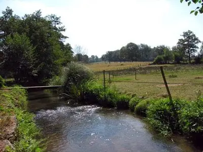 Centre Equestre & Gîte : le Moulin du Goutay