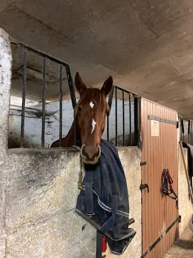 Les Ecuries de l'Isle