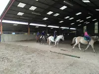 Cerf - Centre d'Équitation Rural du Frontonnais (elevage et Ecuries Propriétaires)