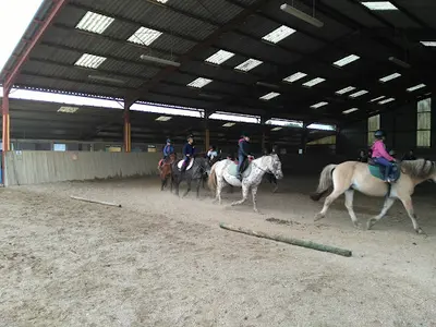 Cerf - Centre d'Équitation Rural du Frontonnais (elevage et Ecuries Propriétaires)