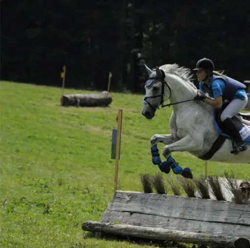 Equitation Reculotte