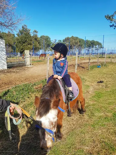 Ecole d'Equitation de Haute Corse