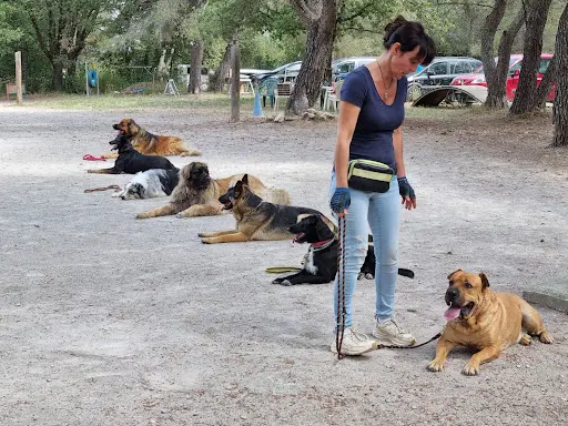 Centre Canin Aix Fuveau. Nathalie Venys