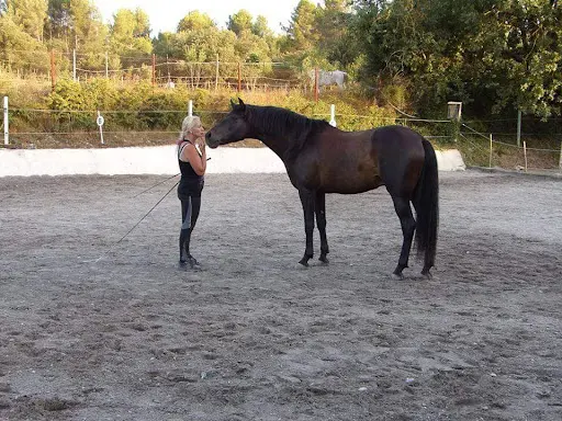 Ecurie Finca Santa Victoria
