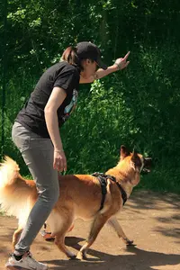 La Bonne Patte