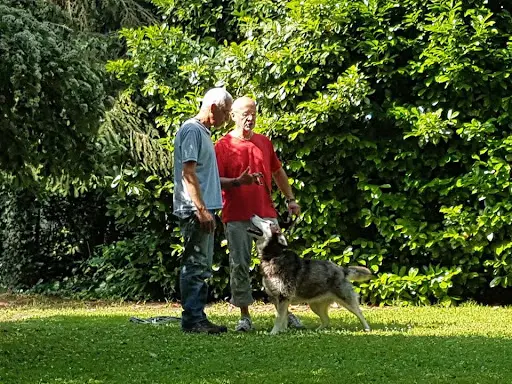 Comportementaliste Canin du Médoc