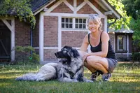 Regard de Chien - Comportementaliste