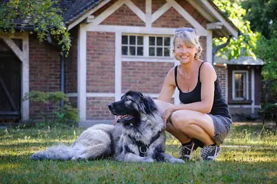 Regard de Chien - Comportementaliste