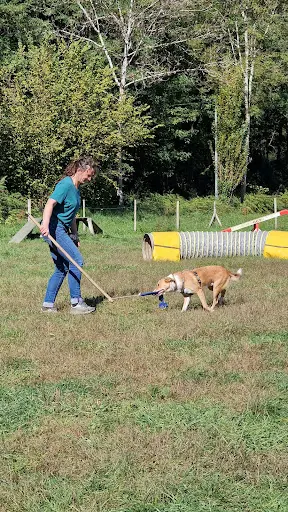Julie Poulain - Éducateur Canin Comportementaliste