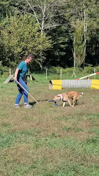 Julie Poulain - Éducateur Canin Comportementaliste