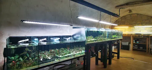 Créaquarium