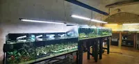 Créaquarium