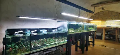 Créaquarium
