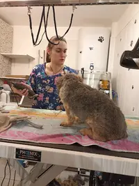 Nos Zanimaux